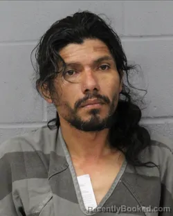 Mugshot of CESAR GONZALES booked in Travis County, Texas on April 20, 2026