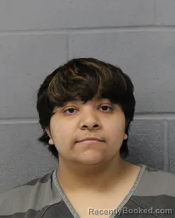 Mugshot of GABRIELLA BAUTISTA booked in Travis County, Texas on April 20, 2026