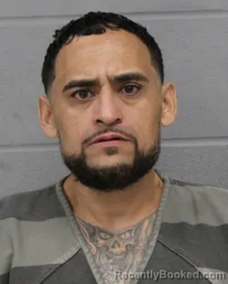 Mugshot of LUIZ GOMEZ booked in Travis County, Texas on April 20, 2026