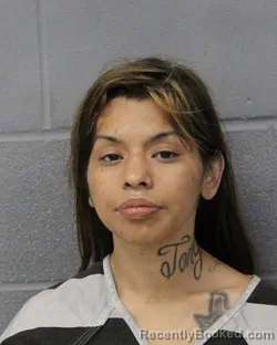 Mugshot of DESTINY MARTINEZ booked in Travis County, Texas on June 11, 2026