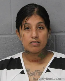 Mugshot of DANIELLA RODRIGUEZ booked in Travis County, Texas on June 14, 2026