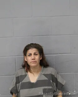 Mugshot of LUZDIVINA HERNANDEZ booked in Travis County, Texas on June 17, 2026