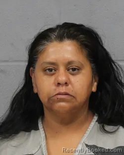 Mugshot of VALERIE PEREZ booked in Travis County, Texas on June 17, 2026