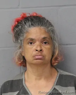 Mugshot of SYLVIA PRICE booked in Travis County, Texas on June 18, 2026