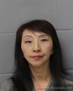 Mugshot of JULIE BOOKOUT booked in Travis County, Texas on June 19, 2026