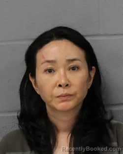 Mugshot of JIYEONG JO booked in Travis County, Texas on June 18, 2026