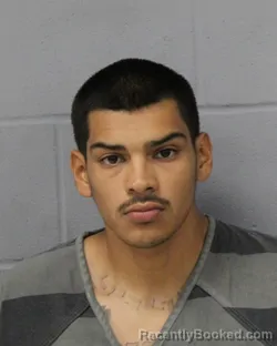 Mugshot of DAVID PEREZ booked in Travis County, Texas on June 20, 2026