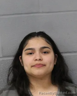 Mugshot of VIVIAN RODRIGUEZ booked in Travis County, Texas on June 21, 2026