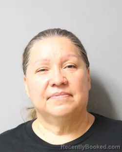 Mugshot of THERESA BERRELLEZA booked in Travis County, Texas on June 21, 2026