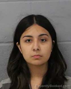 Mugshot of KARINA BENITEZ booked in Travis County, Texas on June 22, 2026
