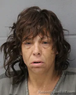 Mugshot of HEATHER HINK booked in Travis County, Texas on June 27, 2026