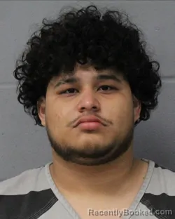Mugshot of ALFREDO ELVIR PEREZ booked in Travis County, Texas on June 27, 2026