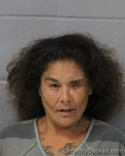 Mugshot of Amanda Zuniga booked in Travis County, Texas on July 26, 2026