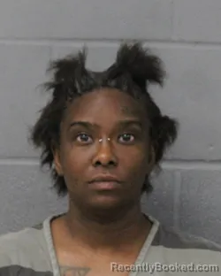 Mugshot of Brittany Nelson booked in Travis County, Texas on July 27, 2026