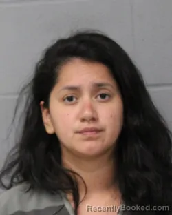Mugshot of Estephanie Pineda booked in Travis County, Texas on July 28, 2026
