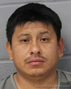 Mugshot of Wilder Gomez Salguero booked in Travis County, Texas on August 1, 2026