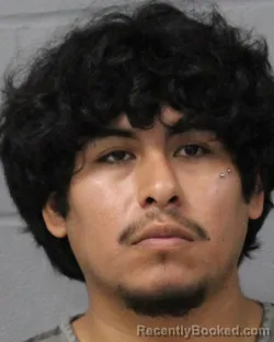 Mugshot of Jonathan Delgado booked in Travis County, Texas on August 4, 2026