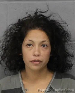 Mugshot of Rocio Rogel booked in Travis County, Texas on August 6, 2026