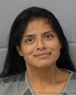 Mugshot of Diana Ramirez-Urbina booked in Travis County, Texas on August 6, 2026