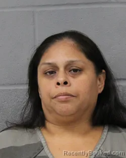 Mugshot of Sylvia Mcmillin booked in Travis County, Texas on September 25, 2026