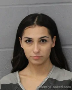 Mugshot of Krystle Mills-Villela booked in Travis County, Texas on September 26, 2026