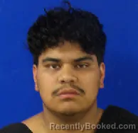 Mugshot of ESTEVAN ARELLANO booked in Van Zandt County, Texas on March 28, 2026