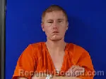 Mugshot of DUSTIN MICHAEL BREEDLOVE