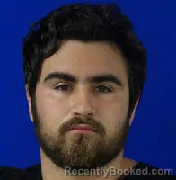 Mugshot of TREVOR GLENN RYAN BURTON booked in Van Zandt County, Texas on March 28, 2026