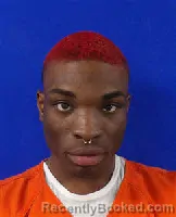 Mugshot of MALIQUE JANEAH CANNON
