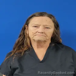 Mugshot of Nita Faye Cobb booked in Van Zandt County, Texas on September 30, 2026