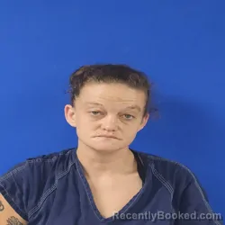 Mugshot of Tabitha Mae Clark booked in Van Zandt County, Texas on August 20, 2026