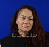 Booking photo from Van Zandt County, Texas