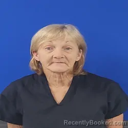 Mugshot of Cyd Terese Hoffpauir booked in Van Zandt County, Texas on October 9, 2026