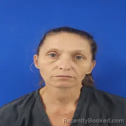 Mugshot of Latasha Diane Howell booked in Van Zandt County, Texas on September 16, 2026