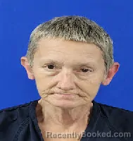 Mugshot of Melodye Beth Hinds booked in Van Zandt County, Texas on September 29, 2026