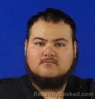 Mugshot of LUIS FELIPE LLANAS-ROCHA
