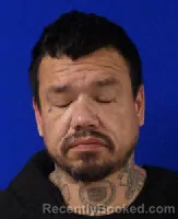 Mugshot of STEPHEN JAMES NELSON