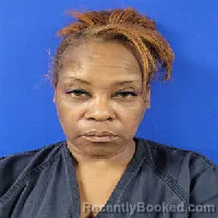 Mugshot of Beleria M Robinson booked in Van Zandt County, Texas on October 5, 2026