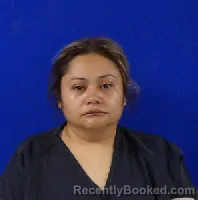 Booking photo from Van Zandt County, Texas