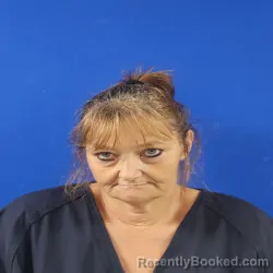 Mugshot of Heather Gayken Wood booked in Van Zandt County, Texas on September 19, 2026
