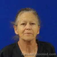 Mugshot of KEMBELIN REA WHEELER booked in Van Zandt County, Texas on March 31, 2026