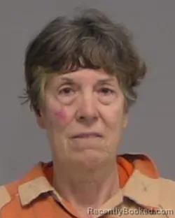 Mugshot of KATHY LYNN DAVENPORT booked in Nassau County, Florida on March 19, 2026