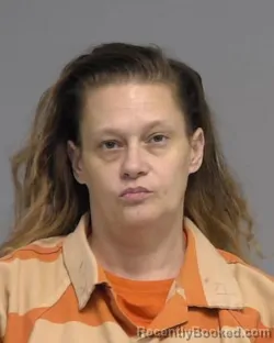 Mugshot of JOY ROBERSON MITCHELL