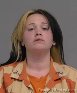 Mugshot of CASSIDY LYNETTE SCHLEIMER