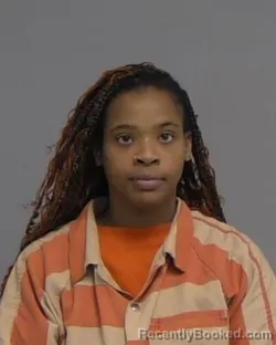 Mugshot of ANITA RENEE DRUMMOND