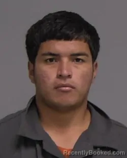 Mugshot of NERI MENDEZ MENDEZ