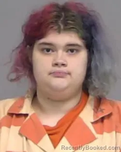 Mugshot of DEMI TAYLOR HUDSON