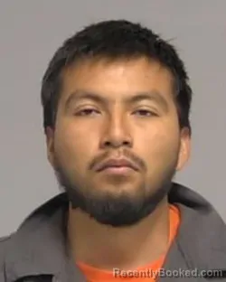 Mugshot of FERNANDO SANDANTE CASTRO