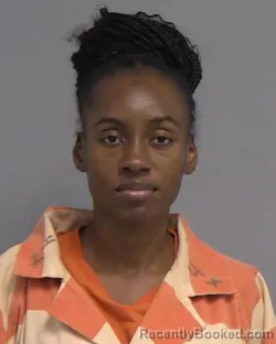 Mugshot of DENISE ANN-MARIE MERCHANT