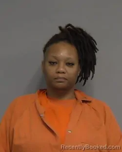 Mugshot of TAMEIKA LATRELLE MITCHELL booked in Nassau County, Florida on March 28, 2026